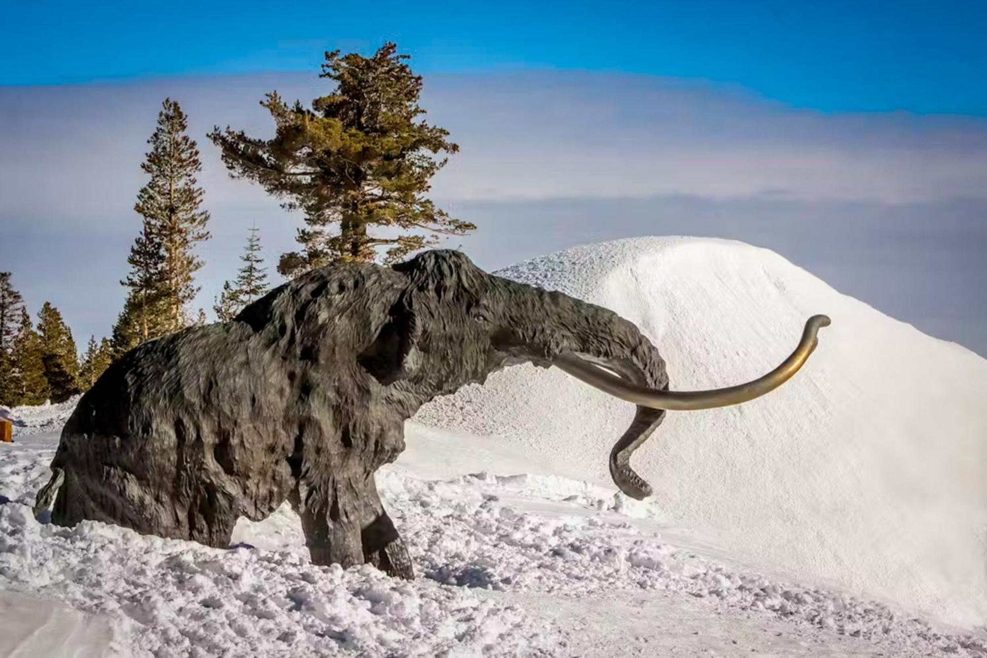 La Vista Blanc Mammoth Lakes Exterior foto